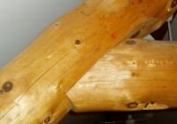closeup of truss and peeled log surface
